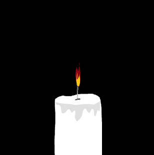 CANDLE LIGHT cover