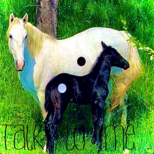 Talk to me cover